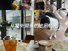 -72 COFFEE(东朝阳路店)