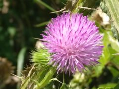 -蟠龙山长城景区