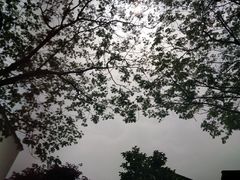 -檀园