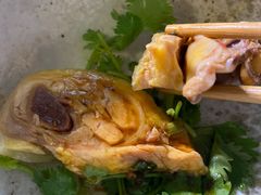 -九斤黄三黄鸡专卖店