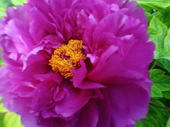 -簋街仔仔小龙虾(簋街二店)