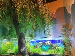 -沈阳海洋探索中心