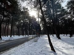 -长春净月潭风景名胜区