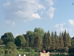 -九里河湿地公园