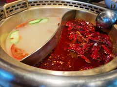 红白鸳鸯锅-小龙坎老火锅(北京三里屯店)