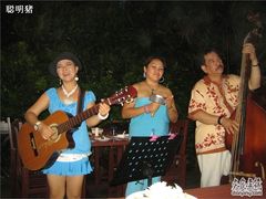 现场表演乐队-渔家火锅·海鲜自助餐·演艺(亚龙湾天域酒店)