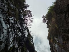 -梵净山旅游区
