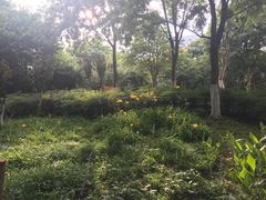 -后襄河公园
