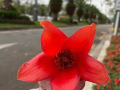 -惠州康帝国际酒店