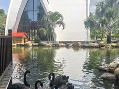 -惠州金海湾嘉华度假酒店