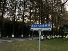 -黄海国家森林公园