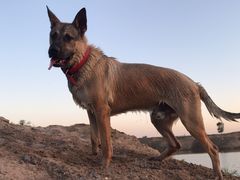 -永定河休闲森林公园