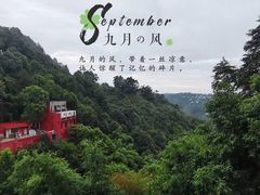 -南山植物园
