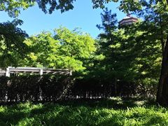 -玲珑塔公园