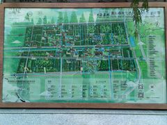 -黄海国家森林公园