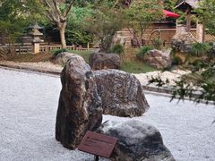 -庆春朴门