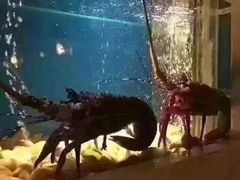 -太平洋PACIFIC SPA•奢睿水疗(万象城店)