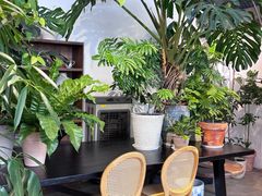 -自由生长植物工作室(深港花卉中心店)