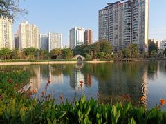 -四海公园(南山区)