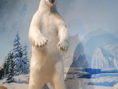 -陕西自然博物馆