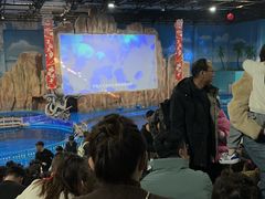 -华夏文旅海洋公园