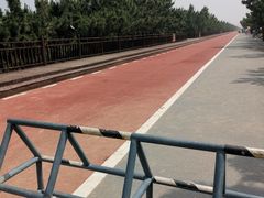 -日照海滨国家森林公园