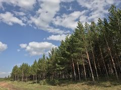 -塞罕坝国家级自然保护区