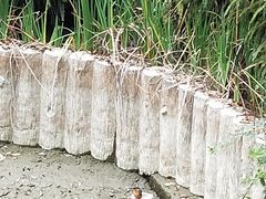 -龙潭水乡