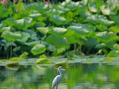-阿男野栗王(金门路店)