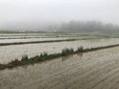 -南泥湾风景区