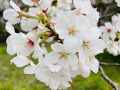 -炉小哥烤肉(朗悦公园茂店)