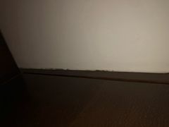 -北京希尔顿逸林酒店