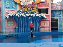 景点-华夏文旅海洋公园