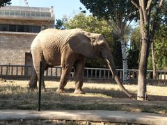 -石家庄市动物园