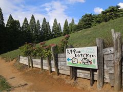 -神户市立六甲山牧场