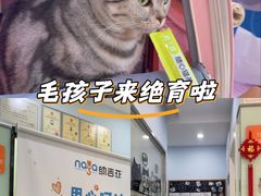 -纳吉亚猫专科动物医院博雅分院