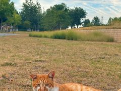 -汉长安城未央宫国家考古遗址公园