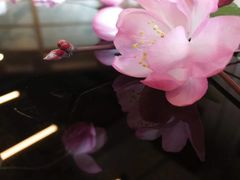 -美味之家·湖景农家乐(太湖东山店)
