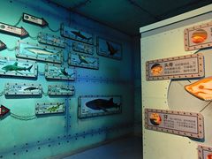 -海合安武汉极地海洋公园