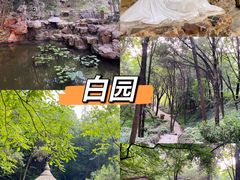 -龙门石窟
