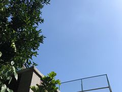 -春妹沙县小吃(新华北路店)