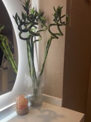 -Hi Beauty Skin 科技美肤中心