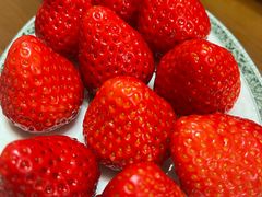 -果蔬好(江南赋店)