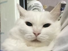 -做了不起的80后