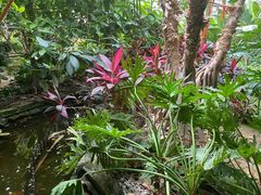 -呀路古热带植物园