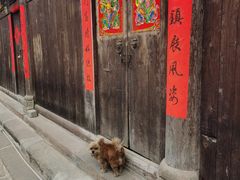 -青林口古镇