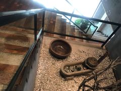 -沅江水·湖南家宴(南村万博长隆商圈店)