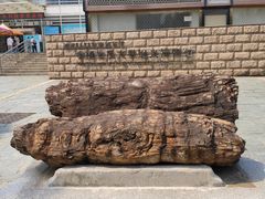 -中国地质大学逸夫博物馆