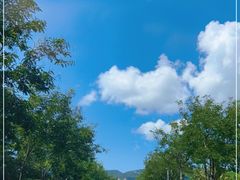 -三亚蜈支洲岛旅游区