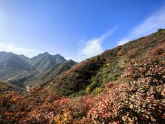 -水峪民俗村